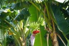 DSC06920