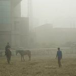 Horses in Smog